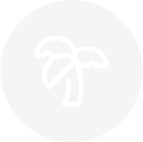 Palm tree icon