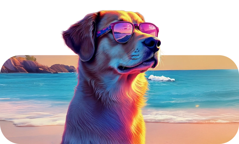 Colored dog using sunglasses